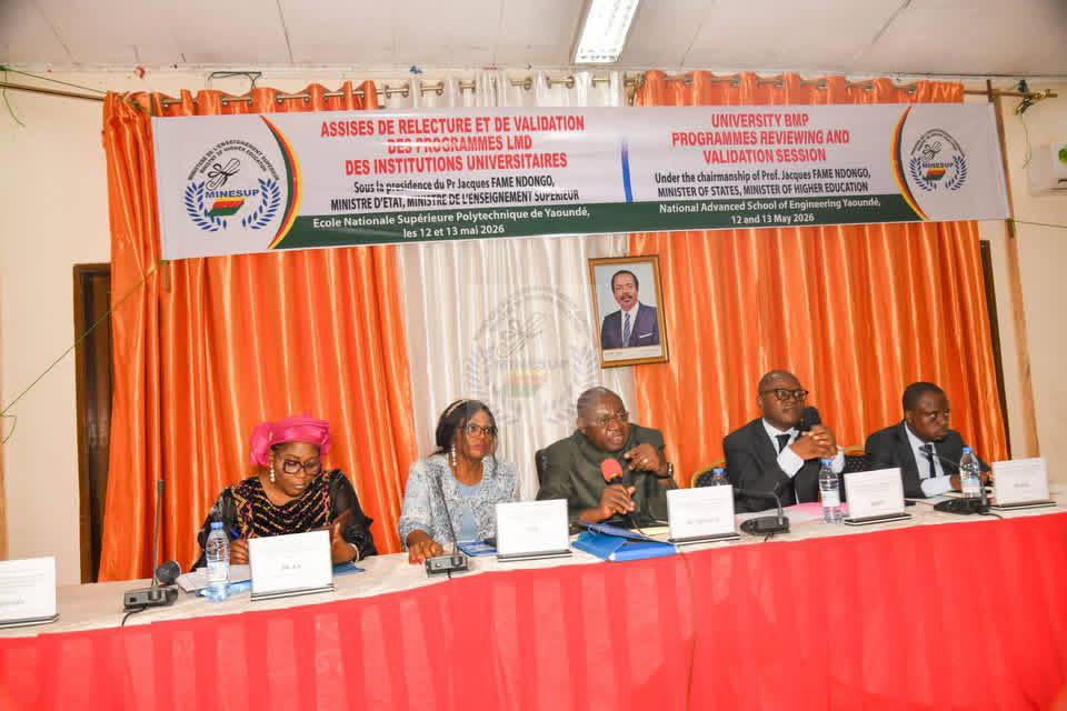 MINESUP Launches Review of Professional Education Programs in Yaoundé image